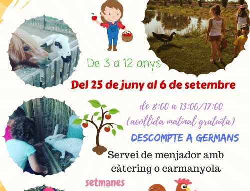 Casal d’estiu 2019